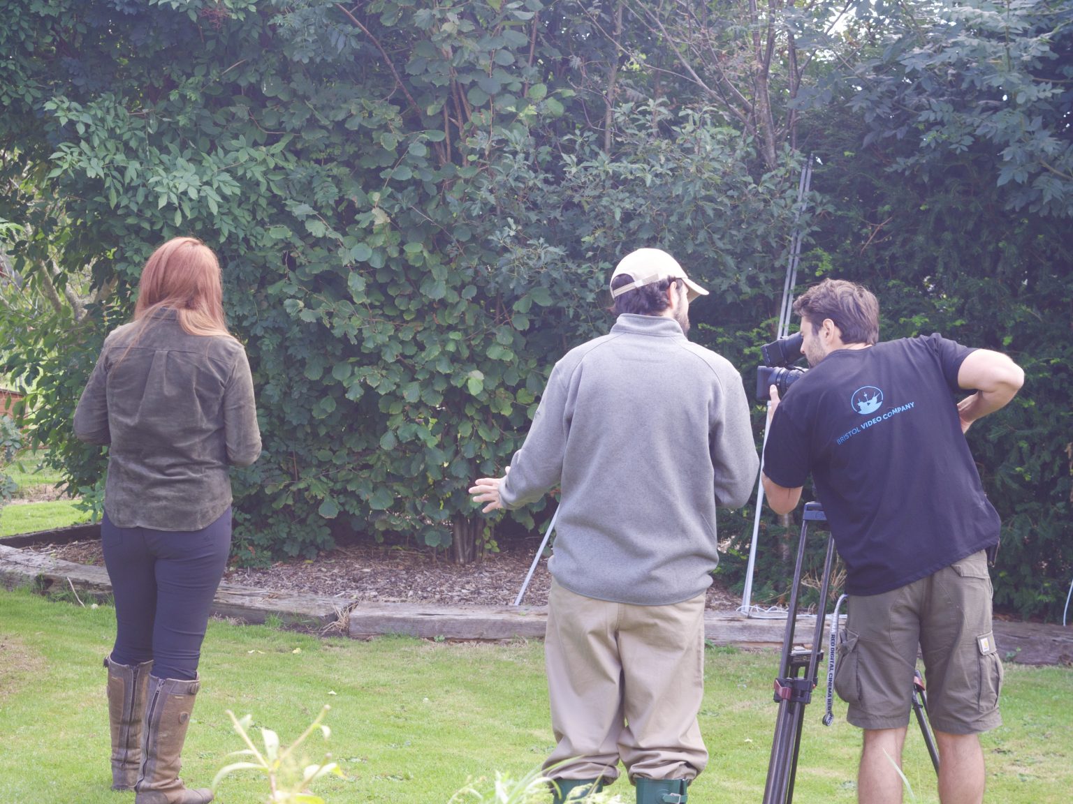 Amazon Video Marketing Campaign That Has Driven 60% Growth