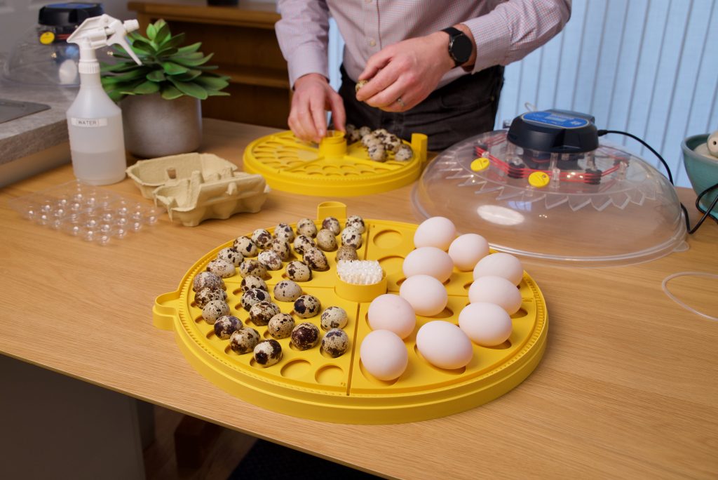 Still from a Brinsea Product shoot in 2025. Bristol Video Co.